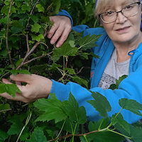 Домработница, деревня Лешково,, Дедовск, Светлана Бареевна