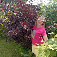 Няня, Москва, Производственная улица, Солнцево, Артем