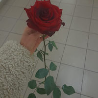 Домработница, Мытищи, улица Веры Волошиной, Лосиноостровский, Фотима Рахматуллаевна